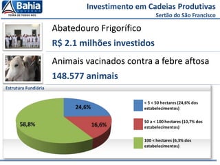 Abatedouro Frigorífico
R$ 2.1 milhões investidos
Animais vacinados contra a febre aftosa
148.577 animais
Investimento em Cadeias Produtivas
Sertão do São Francisco
Estrutura Fundiária
 