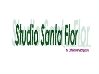 Studio Santa Flor by Christianne Geargeoura 