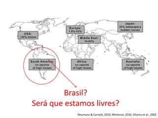 Brasil?
Será que estamos livres?
Neumann & Carreck, 2010; Michener, 2010, Silveira et al., 2002