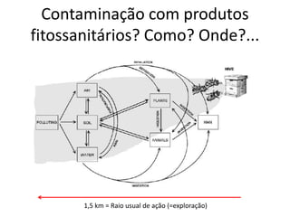 Contaminação com produtos
fitossanitários? Como? Onde?...
1,5 km = Raio usual de ação (=exploração)