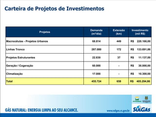 Carteira de Projetos de Investimentos


                                    Demanda     Extensão   Investimento
                         Projetos
                                     (m³/dia)     (km)        (mil R$)

Macrocélulas - Projetos Urbanos      68.814       449      R$   220.166,00


Linhas Tronco                       287.080       172      R$   133.691,86


Projetos Estruturantes               22.830        37      R$    11.137,00


Geração / Cogeração                  60.000        -       R$    30.000,00


Climatização                         17.000        -       R$    10.300,00

Total                               455.724       658      R$   405.294,86
 