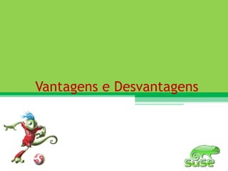 Vantagens e Desvantagens 
