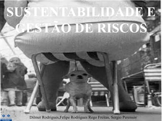 SUSTENTABILIDADE E
GESTÃO DE RISCOS

Dilmer Rodrigues,Felipe Rodrigues Rego Freitas, Sergio Perensin

 
