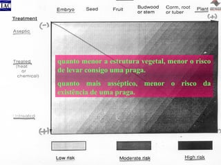 quanto menor a estrutura vegetal, menor o risco
de levar consigo uma praga.
quanto mais asséptico, menor o risco da
existência de uma praga.

 
