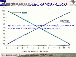 RELAÇÃO SEGURANÇA/RISCO

QUANTO MAIS LONGO O PERÍODO DE INSPEÇÃO, MENOR É O
RISCO DO ESCAPE DE UMA NOVA PRAGA NO PAÍS .

Foto: Quarentenário, de segurança máxima, no ICRISAT, Índia

 