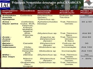 Principais Nematóides detectados pelo CENARGEN
Procedência

Nematóide
detectado

Técnica de
Erradicação

Perdas na
Produção

Amendoim
Arachis
hypogaea

Colômbia

Dit ylenchus
dipsaci,
Tylenchus sp.

Cult ura de
Tecidos

Não
quant if icada

Arroz Oryza sativa

Colômbia;
Cuba; EUA ;
Filipinas;
França;
M alásia;
Nigéria
EUA ,
Filipinas
EUA

A phelenchoides
besseyi

Trat .Térmico:
Úmido

30 a 50

Dit ylenchus sp.

Até 90

A nguina sp
Dit ylenchus
dipsaci

Trat .Térmico:
Seco
Trat .Térmico:
Úmido
E Seco

Canadá

Dit ylenchus
dipsaci
Globodera sp.

Cult ura de
t ecidos
Incineração

30
At é 100

Globodera sp

Incineração

At é 100

Dit ylenchus sp.

Trat .Térmico:
Úmido
Trat .Térmico:
Úmido
Trat .Térmico:
Úmido

Não
Quant if icada

Germoplasma

Vegetal

Aveia Avena
sativa
Batata Solanum
tuberosum

M ilho Zea mays

Foto: Quarentena

Chile;
Holanda
Holanda;
EUA
Zâmbia
M éxico
Chile
Guat emala;
Peru;
Uruguai
de uva, no IAC

Dit ylenchus
dipsaci
Tylenchus sp.

Até 60

>

5 0%

 