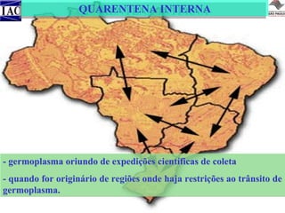 QUARENTENA INTERNA
QUARENTENA INTERNA

- germoplasma oriundo de expedições científicas de coleta
- quando for originário de regiões onde haja restrições ao trânsito de
germoplasma.

 