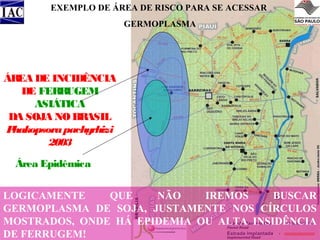 EXEMPLO DE ÁREA DE RISCO PARA SE ACESSAR
GERMOPLASMA

ÁR DE INCIDÊNCIA
EA
DE FERR
UGEM
ASIÁTICA
DA SOJA NO BR
ASIL
P
hakopsora pachyrhizi
2003
Área Epidêmica
LOGICAMENTE
QUE
NÃO
IREMOS
BUSCAR
GERMOPLASMA DE SOJA, JUSTAMENTE NOS CÍRCULOS
MOSTRADOS, ONDE HÁ EPIDEMIA OU ALTA INSIDÊNCIA
DE FERRUGEM!

 