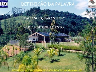 DEFINIÇÃO DA PALAVRA
ITALIANO “QUARANTINA”
40 DIAS DE ISOLAMENTO

FOTO: QUARENTENÁRIO DE CANA DO CTC em Miracatu - SP

 