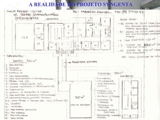 A REALIDADE DO PROJETO SYNGENTA

Foto: Quarentena de Pinus, no IAC

 