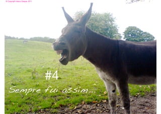 © Copyright Vasco Gaspar, 2011




                                                               #4
                                  Sempre fui assim...




Image: http://bluehouselives.com/wp-content/uploads/2011/02/Donkey.jpg
 