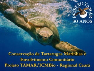 Conservação de Tartarugas Marinhas e Envolvimento Comunitário   Projeto TAMAR/ICMBio - Regional Ceará 