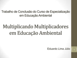 Trabalho de Conclusão do Curso de Especialização
em Educação Ambiental

Multiplicando Multiplicadores
em Educação Ambiental
Eduardo Lima Júlio

1

 