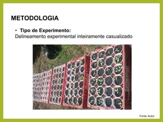 METODOLOGIA
Fonte: Autor
• Tipo de Experimento:
Delineamento experimental inteiramente casualizado
 