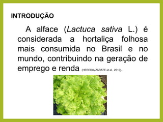 INTRODUÇÃO
A alface (Lactuca sativa L.) é
considerada a hortaliça folhosa
mais consumida no Brasil e no
mundo, contribuindo na geração de
emprego e renda (HEREDIA ZÁRATE et al., 2010).
 