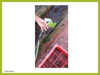 Fonte: Autor
 