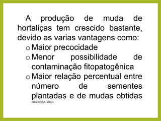 A produção de muda de
hortaliças tem crescido bastante,
devido as varias vantagens como:
oMaior precocidade
oMenor possibilidade de
contaminação fitopatogênica
oMaior relação percentual entre
número de sementes
plantadas e de mudas obtidas
(BEZERRA, 2003).
 