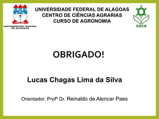 OBRIGADO!
Lucas Chagas Lima da Silva
Orientador: Profº Dr. Reinaldo de Alencar Paes
UNIVERSIDADE FEDERAL DE ALAGOAS
CENTRO DE CIÊNCIAS AGRARIAS
CURSO DE AGRONOMIA
 