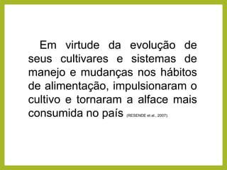 Em virtude da evolução de
seus cultivares e sistemas de
manejo e mudanças nos hábitos
de alimentação, impulsionaram o
cultivo e tornaram a alface mais
consumida no país (RESENDE et al., 2007).
 