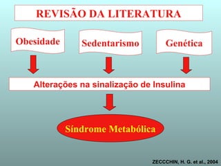 REVISÃO DA LITERATURA
Obesidade Sedentarismo Genética
Alterações na sinalização de Insulina
Síndrome Metabólica
ZECCCHIN, H. G. et al., 2004
 