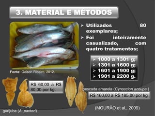 3. MATERIAL E MÉTODOS
 Utilizados 80
exemplares;
 1000 a 1301 g;
 1301 a 1600 g;
 1601 a 1900 g;
 1901 a 2200 g.
Fonte: Geison Ribeiro, 2012.
 Foi inteiramente
casualizado, com
quatro tratamentos;
pescada amarela (Cynoscion acoupa )
gurijuba (A. parkeri)
R$ 160,00 a R$ 185,00 por kg
R$ 60,00 a R$
80,00 por kg.
(MOURÃO et al., 2009)
 