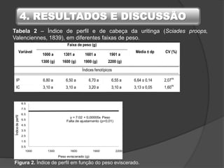 4. RESULTADOS E DISCUSSÃO
y = 7.02 + 0,00005x Peso
Falta de ajustamento (p>0,01)
0.5
1.5
2.5
3.5
4.5
5.5
6.5
7.5
8.5
1000 1300 1600 1900 2200
Índicedeperfil
Peso eviscerado (g)
Figura 2. Índice de perfil em função do peso eviscerado.
Tabela 2 – Índice de perfil e de cabeça da uritinga (Sciades proops,
Valenciennes, 1839), em diferentes faixas de peso.
Variável
Faixa de peso (g)
Média ± dp CV (%)
1000 a
1300 (g)
1301 a
1600 (g)
1601 a
1900 (g)
1901 a
2200 (g)
Peso
PEV (g) 1.119,55 a 1.401,95 b 1.668,00 c 2.011,45 d 1.550,24 ± 380,38 24,54*
PFCP (g) 648,70 a 844,95 b 1.048,00 c 1.286,55 d 957,05 ± 273,55 28,58*
PFSP (g) 638,10 a 830,10 b 1.034,20 c 1.274,10 d 944,13 ± 273,04 28,92*
Rendimento de filé
RFCP (%) 57,94 a 60,26 b 62,84 c 63,95 d 61,25 ± 2,69 4,40*
RFSP (%) 48,01 a 52,05 b 56,01 c 58,34 d 53,60 ± 4,54 8,48*
Índices fenotípicos
IP 6,80 a 6,50 a 6,70 a 6,55 a 6,64 ± 0,14 2,07ns
IC 3,10 a 3,10 a 3,20 a 3,10 a 3,13 ± 0,05 1,60ns
Peso
PEV (g) 1.119,55 a 1.401,95 b 1.668,00 c 2.011,45 d 1.550,24 ± 380,38 24,54*
PFCP (g) 648,70 a 844,95 b 1.048,00 c 1.286,55 d 957,05 ± 273,55 28,58*
PFSP (g) 638,10 a 830,10 b 1.034,20 c 1.274,10 d 944,13 ± 273,04 28,92*
Rendimento de filé
RFCP (%) 57,94 a 60,26 b 62,84 c 63,95 d 61,25 ± 2,69 4,40*
RFSP (%) 48,01 a 52,05 b 56,01 c 58,34 d 53,60 ± 4,54 8,48*
Índices fenotípicos
IP 6,80 a 6,50 a 6,70 a 6,55 a 6,64 ± 0,14 2,07ns
IC 3,10 a 3,10 a 3,20 a 3,10 a 3,13 ± 0,05 1,60ns
 