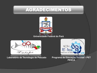 Universidade Federal do Pará
Laboratório de Tecnologia de Pescado Programa de Educação Tutorial – PET
PESCA
AGRADECIMENTOS
 
