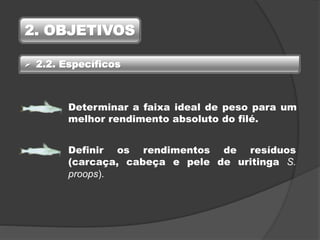 2. OBJETIVOS
Determinar a faixa ideal de peso para um
melhor rendimento absoluto do filé.
Definir os rendimentos de resíduos
(carcaça, cabeça e pele de uritinga S.
proops).
 2.2. Específicos
 