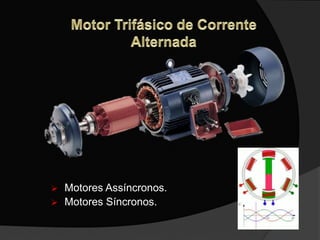  Motores Assíncronos.
 Motores Síncronos.
 