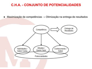 C.H.A. - CONJUNTO DE POTENCIALIDADES
● Maximização de competências → Otimização na entrega de resultados
 