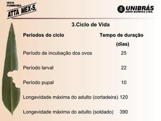   3.Ciclo de Vida Períodos do ciclo  Tempo de duração (dias) Período de incubação dos ovos   25 Período larval   22 Período pupal  10 Longevidade máxima do adulto (cortadeira) 120 Longevidade máxima do adulto (soldado) 390 