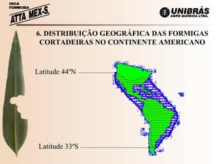 6. DISTRIBUIÇÃO GEOGRÁFICA DAS FORMIGAS CORTADEIRAS NO CONTINENTE AMERICANO Latitude 44ºN Latitude 33ºS 