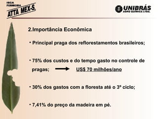   2.Importância Econômica Principal praga dos reflorestamentos brasileiros; 75% dos custos e do tempo gasto no controle de pragas;  US$ 70 milhões/ano 30% dos gastos com a floresta até o 3º ciclo; 7,41% do preço da madeira em pé. 