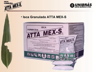 Isca Granulada ATTA MEX-S 