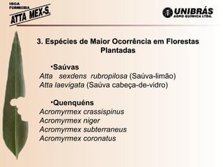 3. Espécies de Maior Ocorrência em Florestas Plantadas Saúvas Atta  sexdens  rubropilosa  (Saúva-limão) Atta laevigata  (Saúva cabeça-de-vidro) Quenquéns Acromyrmex crassispinus Acromyrmex niger Acromyrmex subterraneus Acromyrmex coronatus 