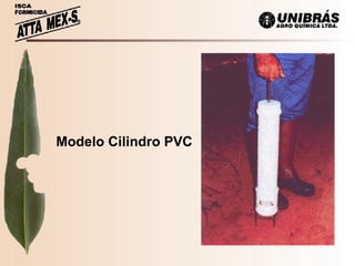 Modelo Cilindro PVC 