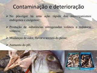 Contaminação e deterioração
 No pós-rigor há uma ação rápida dos microrganismos
endógenos e exógenos;
 Produção de substâncias nitrogenadas voláteis e redutoras
voláteis;
 Mudanças de odor, flavor e textura do peixe;
 Aumento do pH.
 