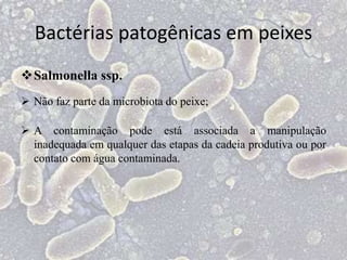 Bactérias patogênicas em peixes
Salmonella ssp.
 Não faz parte da microbiota do peixe;
 A contaminação pode está associada a manipulação
inadequada em qualquer das etapas da cadeia produtiva ou por
contato com água contaminada.
 