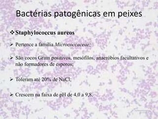 Bactérias patogênicas em peixes
Staphylococcus aureos
 Pertence a família Micrococcaceae;
 São cocos Gram positivos, mesófilos, anaeróbios facultativos e
não formadores de esporos;
 Toleram até 20% de NaCl;
 Crescem na faixa de pH de 4,0 a 9,8.
 
