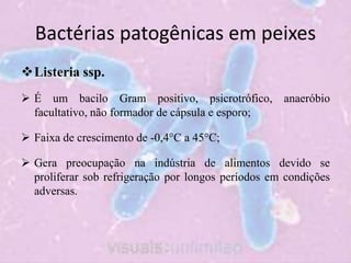 Bactérias patogênicas em peixes
Listeria ssp.
 É um bacilo Gram positivo, psicrotrófico, anaeróbio
facultativo, não formador de cápsula e esporo;
 Faixa de crescimento de -0,4°C a 45°C;
 Gera preocupação na indústria de alimentos devido se
proliferar sob refrigeração por longos períodos em condições
adversas.
 