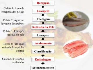 Recepção
Lavagem
Filetagem
Retirada da Pele
Lavagem
Acabamento
Classificação
Embalagem
Armazenamento
Coleta 1: Água de
recepção dos peixes
Coleta 2: Água de
lavagem dos peixes
Coleta 3: Filé após
retirada da pele
Coleta 4: Filé após
retirada do espinho
central
Coleta 5: Filé após
embalado
 