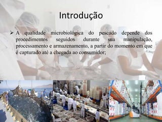 Introdução
 A qualidade microbiológica do pescado depende dos
procedimentos seguidos durante sua manipulação,
processamento e armazenamento, a partir do momento em que
é capturado até a chegada ao consumidor;
 