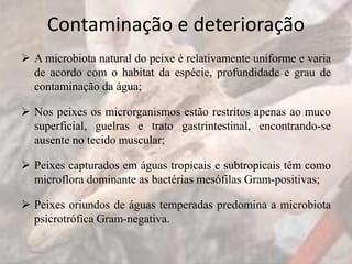 Contaminação e deterioração
 A microbiota natural do peixe é relativamente uniforme e varia
de acordo com o habitat da espécie, profundidade e grau de
contaminação da água;
 Nos peixes os microrganismos estão restritos apenas ao muco
superficial, guelras e trato gastrintestinal, encontrando-se
ausente no tecido muscular;
 Peixes capturados em águas tropicais e subtropicais têm como
microflora dominante as bactérias mesófilas Gram-positivas;
 Peixes oriundos de águas temperadas predomina a microbiota
psicrotrófica Gram-negativa.
 