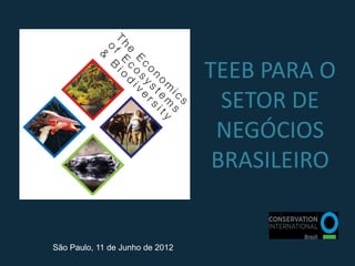 TEEB PARA O
                                   SETOR DE
                                  NEGÓCIOS
                                  BRASILEIRO


São Paulo, 11 de Junho de 2012
 