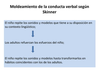 Moldeamiento de la conducta verbal según Skinner El niño repite los sonidos y modelos que tiene a su disposición en su contexto lingüístico; Los adultos refuerzan los esfuerzos del niño; El niño repite los sonidos y modelos hasta transformarlos en hábitos coincidentes con los de los adultos. 