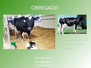 OBRIGADO
José Pedro Ferrão,
josecbf@gmail.com
, 3 de Maio de 2016
• Recorde mundial 216
891 l 11 lactações
(Canadá)
 