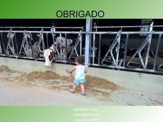 OBRIGADO
José Pedro Ferrão,
josecbf@gmail.com
, 3 de Maio de 2016
 