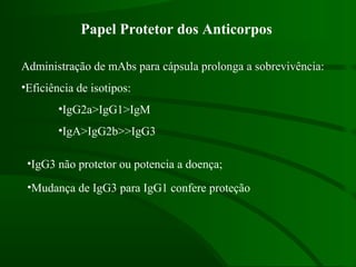 Papel Protetor dos Anticorpos
Administração de mAbs para cápsula prolonga a sobrevivência:
•Eficiência de isotipos:
•IgG2a>IgG1>IgM
•IgA>IgG2b>>IgG3
•IgG3 não protetor ou potencia a doença;
•Mudança de IgG3 para IgG1 confere proteção
 