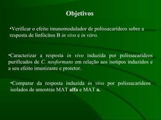 Objetivos
•Verificar o efeito imunomodulador de polissacarídeos sobre a
resposta de linfócitos B in vivo e in vitro.
•Caracterizar a resposta in vivo induzida por polissacarídeos
purificados de C. neoformans em relação aos isotipos induzidos e
a seu efeito imunizante e protetor.
•Comparar da resposta induzida in vivo por polissacarídeos
isolados de amostras MAT alfa e MAT a.
 