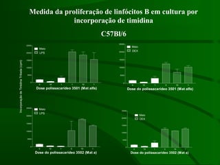 0 10 1 1 10 1
0
5000
10000
15000
20000
25000
LPS
Meio
Dose polissacarídeo 3501 (Mat alfa)
0 10 1 0 10 1
0
5000
10000
15000
20000
25000
DEX
Meio
Dose do polissacarídeo 3501 (Mat alfa)
0 10 1 0 10 1
0
5000
10000
15000
20000
25000
LPS
Meio
Dose do polissacarídeo 3502 (Mat a)
0 10 1 0 10 1
0
5000
10000
15000
20000
25000
DEX
Meio
Dose do polissacarídeo 3502 (Mat a)
IncorporaçãodeTimidinaTritiada(cpm)
Medida da proliferação de linfócitos B em cultura por
incorporação de timidina
C57Bl/6
 